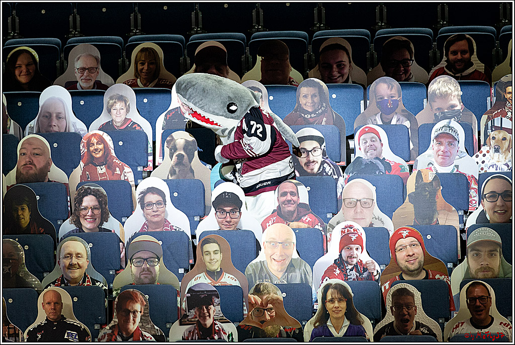 PENNY DEL;  Koelner Haie - Fischtown Pinguins Bremerhaven; Koeln, 12.02.2021